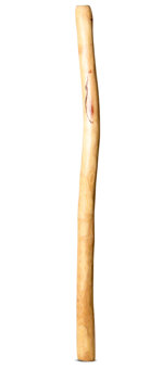 Medium Size Natural Finish Didgeridoo (TW1287)